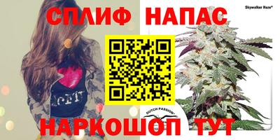 синтетический гашиш Кудрово
