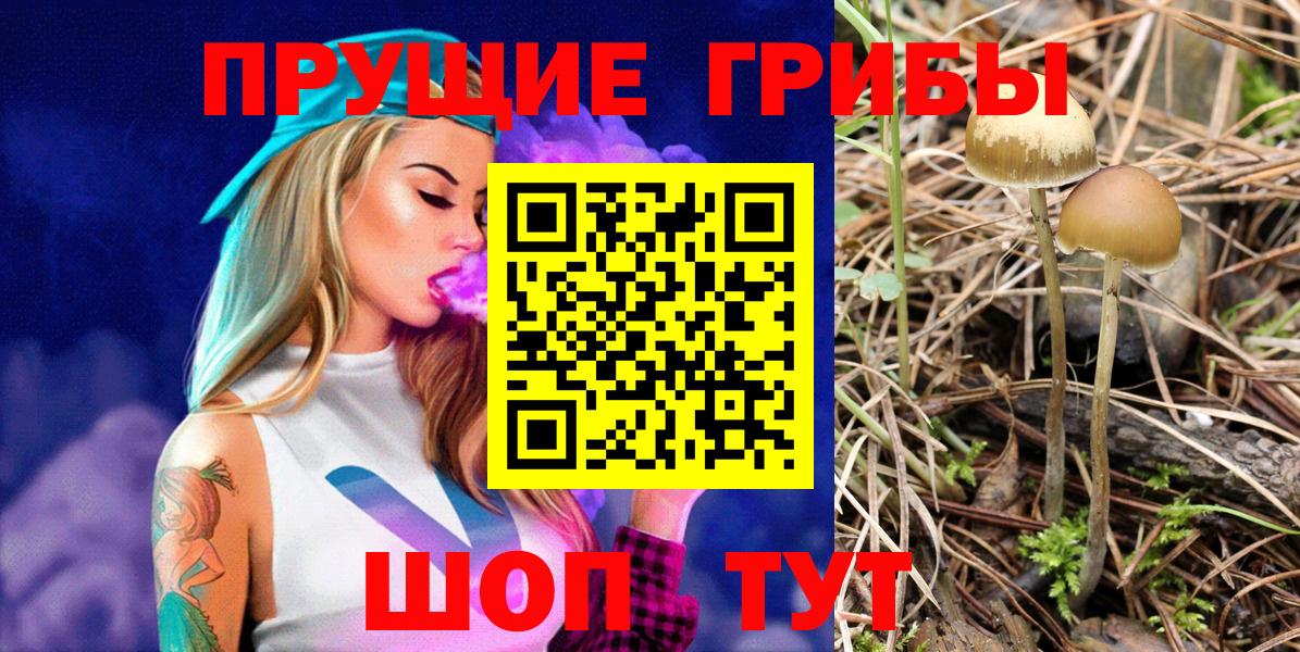 Псилоцибиновые грибы MAGIC MUSHROOMS  Вход с VPN  Балашиха 